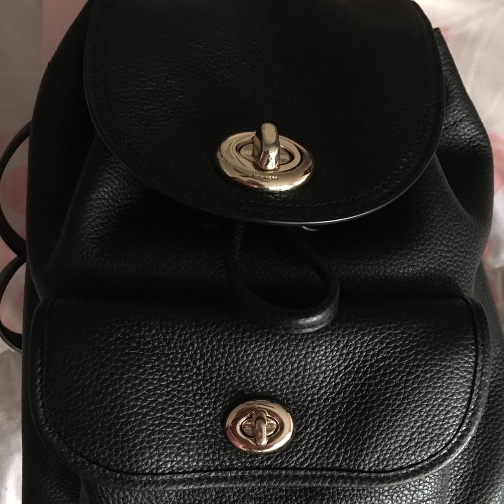 Mini Coach backpack